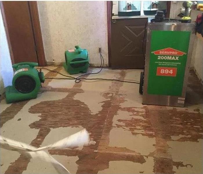 Air movers and dehumidifiers in a room
