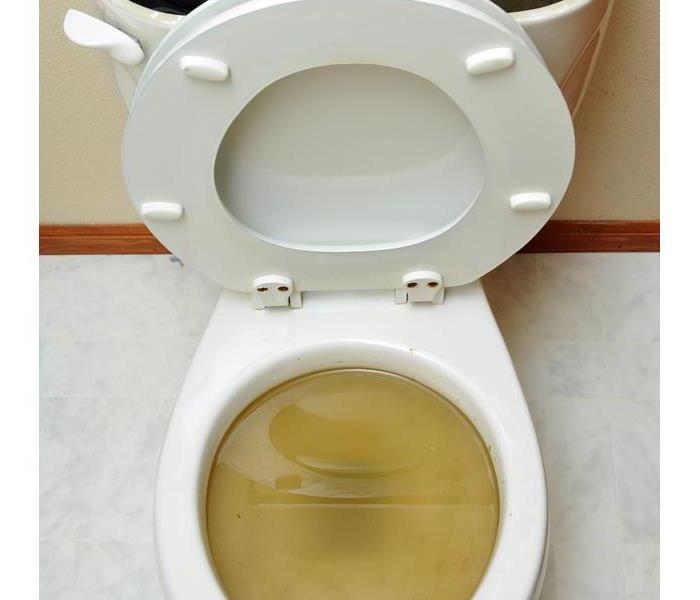 Overflowing broken toilet