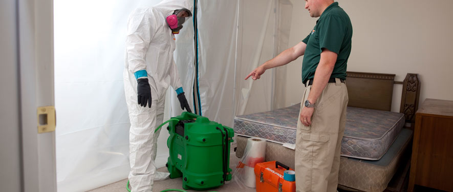 Lafayette, LA mold removal process